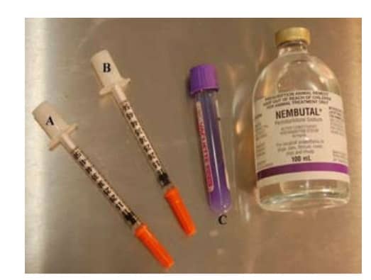 pentobarbital sodium